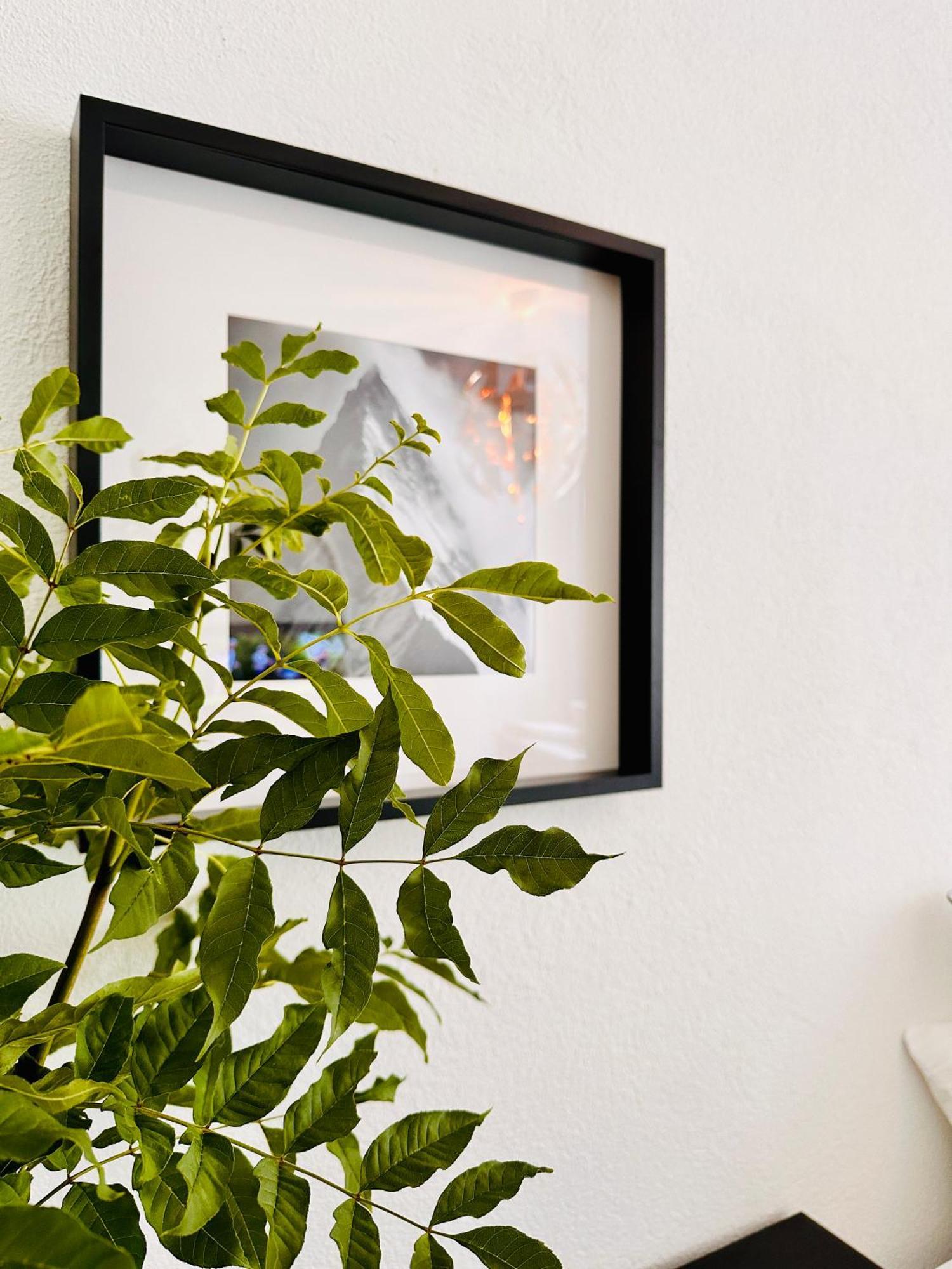 Schoene Ferienwohnung Schottwien Exteriér fotografie